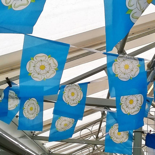 Giant Yorkshire Bunting - Last Few!