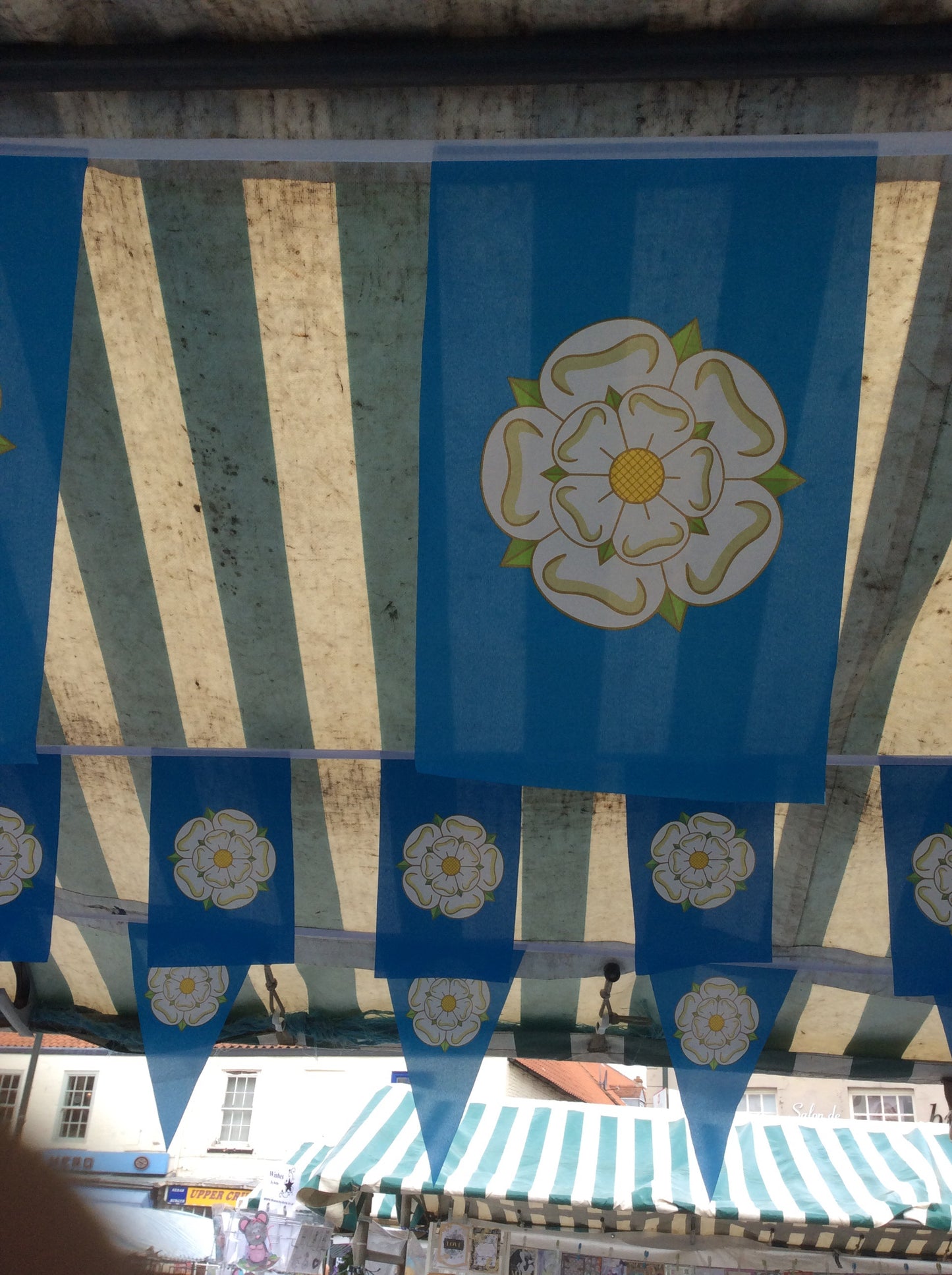 Rectangular Yorkshire Bunting