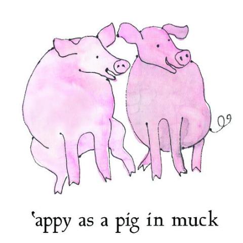 Appy as a Pig in Muck Greetings Card