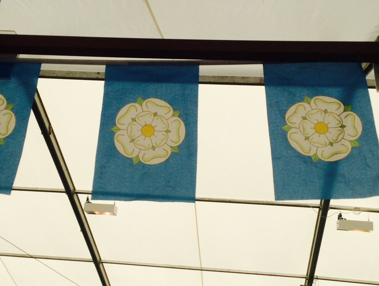 Rectangular Yorkshire Bunting